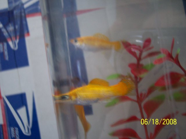 100_0280.JPG
