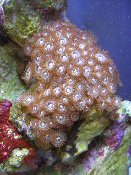 fishandstuff 086.jpg