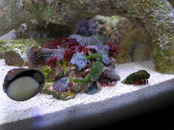fishandstuff 095.jpg