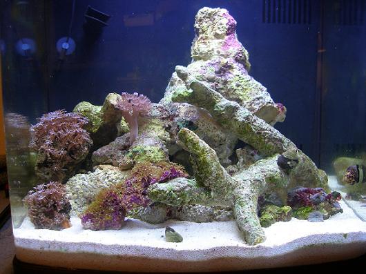 fishandstuff 094.jpg