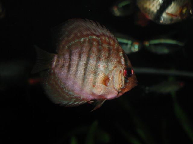 P1010085.JPG