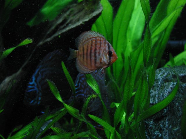 P1010104.JPG