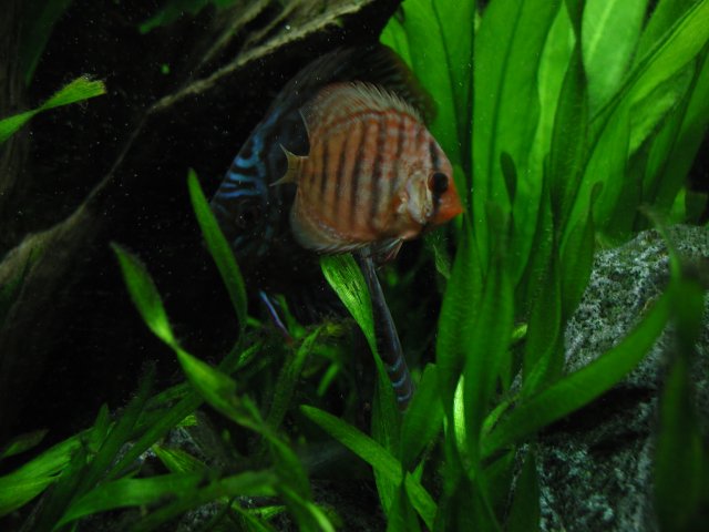 P1010108.JPG