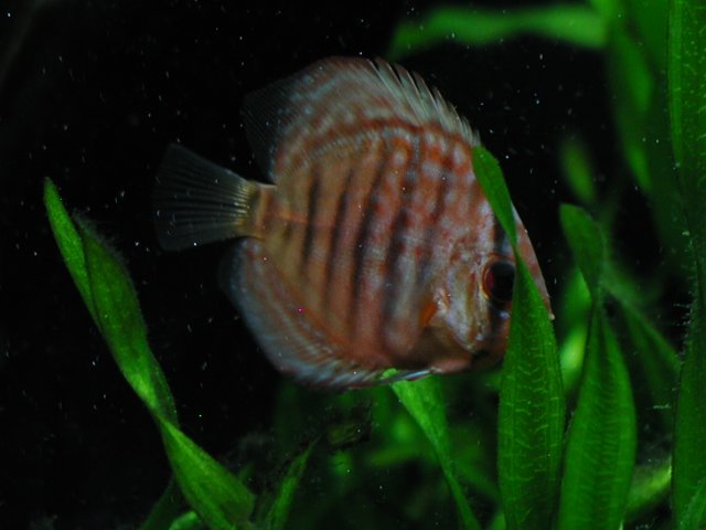 P1010119.JPG