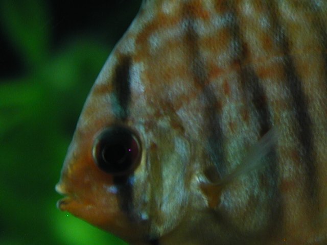 P1010135.JPG