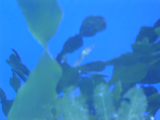 mice 039.jpg