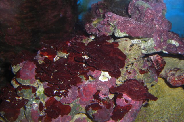cimg0631.jpg