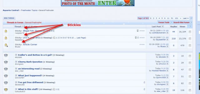 stickies.jpg stickies.jpg