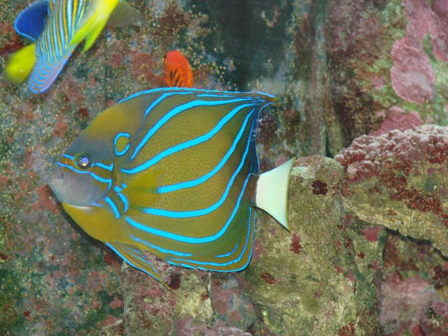 Picture 155.jpg