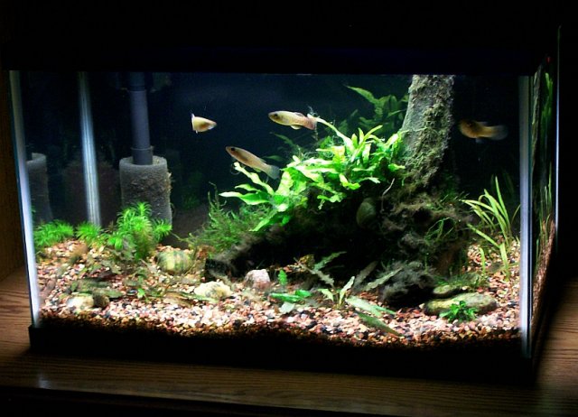 100_3537.jpg 100_3537.jpg