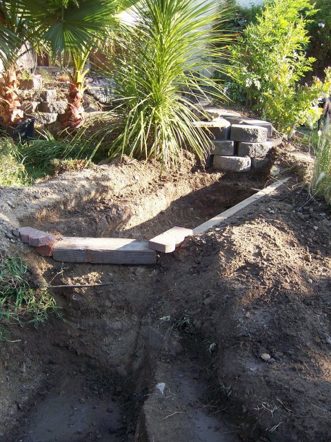 062808 018.jpg 062808 018.jpg