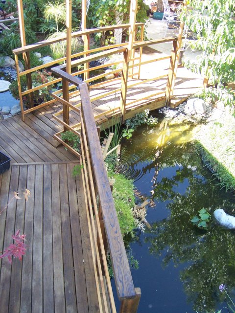 080406 010.jpg