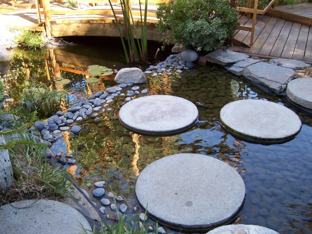 080406 014.jpg