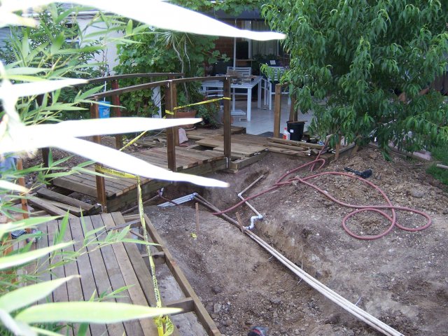 pond 001.jpg