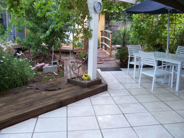 pond 011.jpg