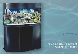 72_gal_BF_Oceanic.jpg 72_gal_BF_Oceanic.jpg