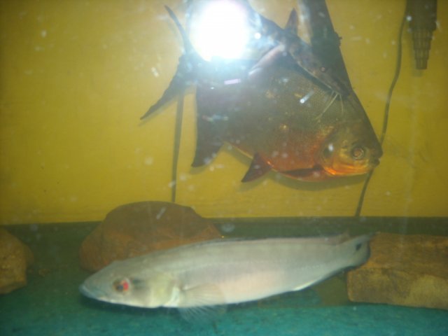 DSCN0161.JPG