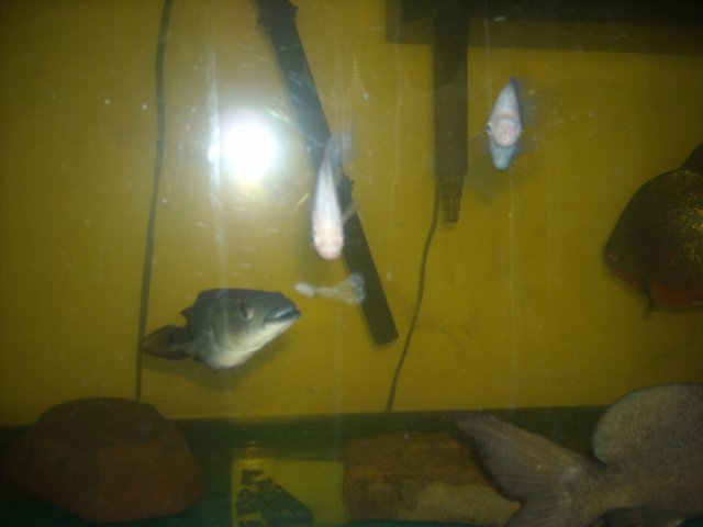 DSCN0159.JPG