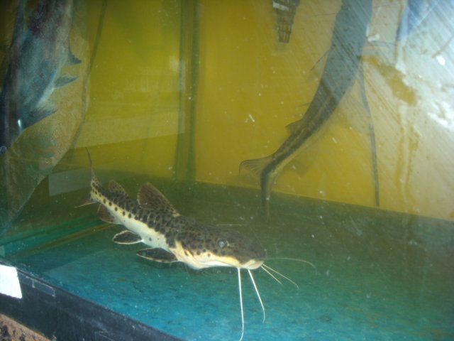 DSCN0164.JPG