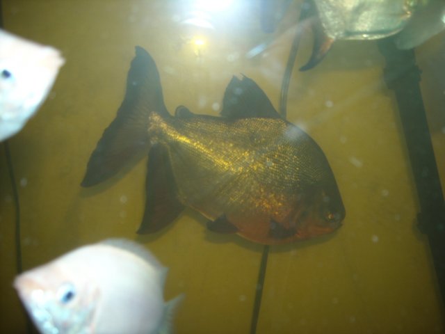 DSCN0165.JPG