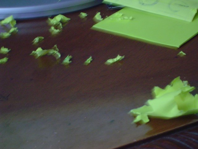 mice 063.jpg