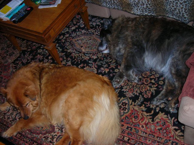 DSCN0153.JPG