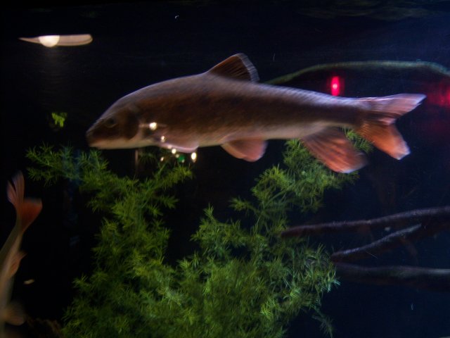 052608 034.jpg
