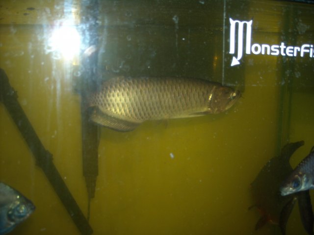 DSCN0193.JPG