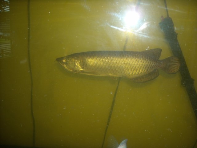 DSCN0194.JPG