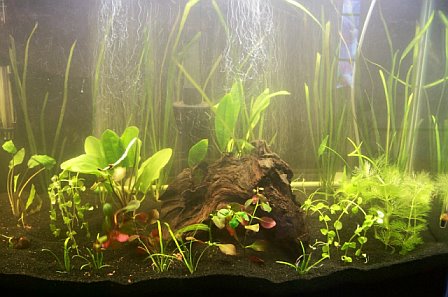 blacksand2.jpg blacksand2.jpg