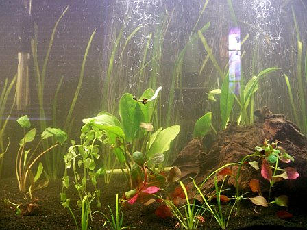 blacksand3.jpg blacksand3.jpg