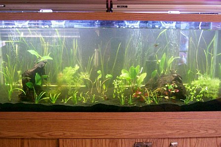 blacksand4.jpg blacksand4.jpg