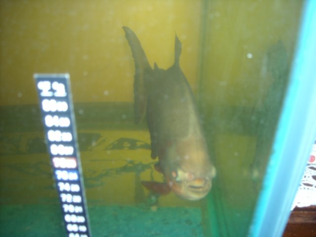 DSCN0175.JPG