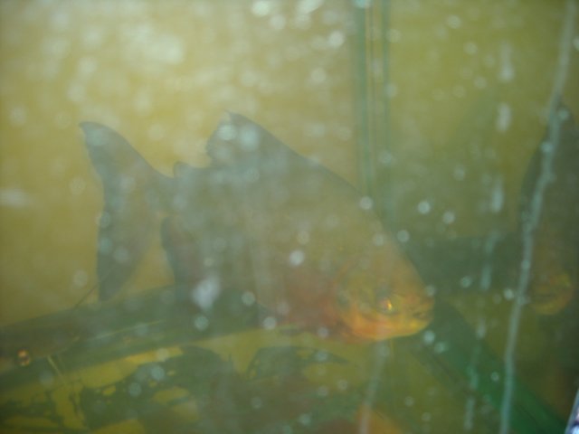 DSCN0169.JPG