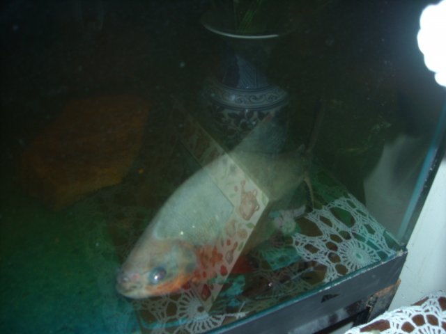 DSCN0179.JPG