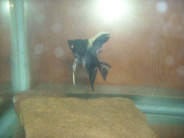 DSCN0181.JPG