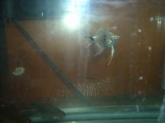 DSCN0182.JPG