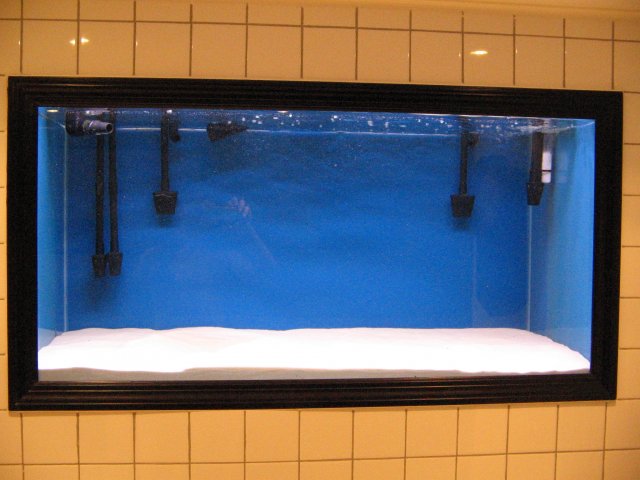 IMG_0003.JPG