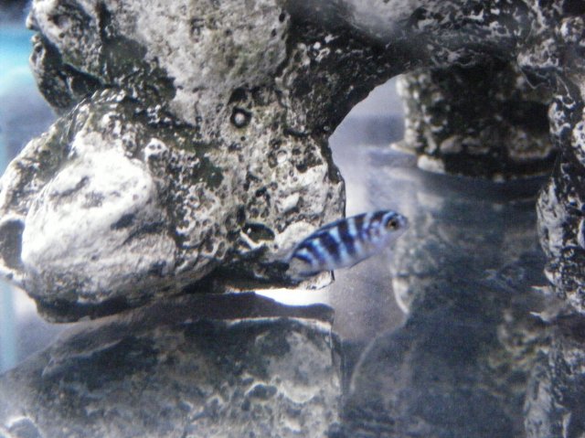 july_2008 021_s.jpg