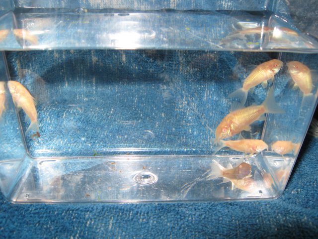 Picture 127.jpg