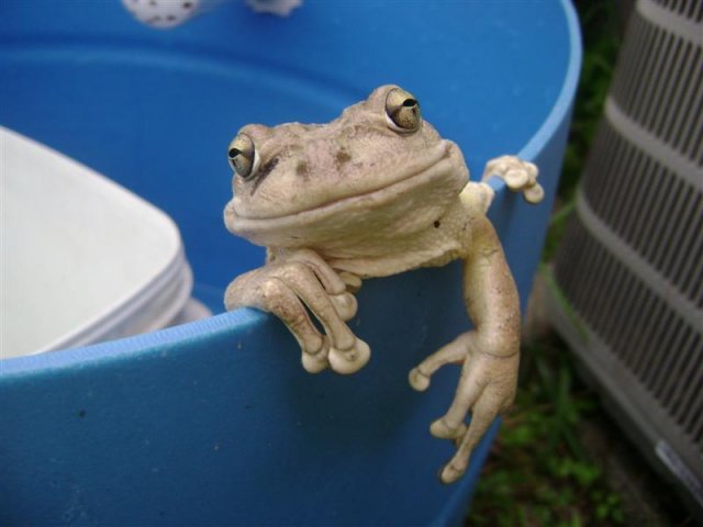 DSC06313 (Medium).JPG
