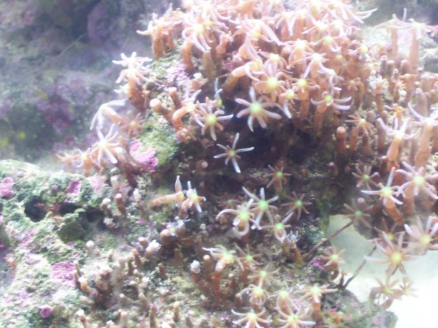 100_1008.JPG 100_1008.JPG