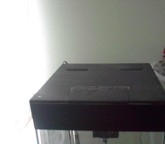 IM002252.JPG