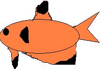 tetra2.JPG tetra2.JPG