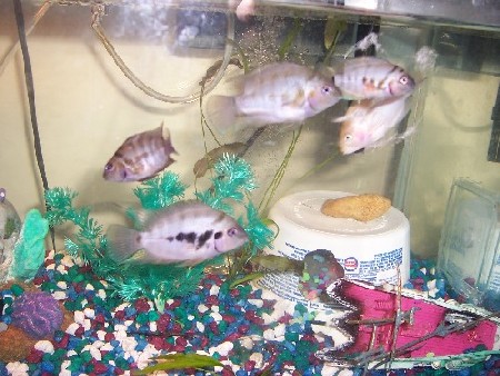 100_03831.jpg