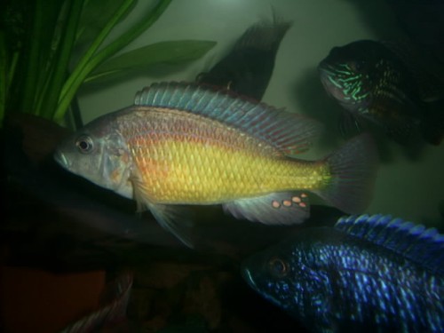 S4020498.JPG