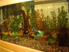 DSC01160 (WinCE).JPG