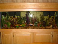 DSC01164 (WinCE).JPG