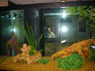 chain pickerel 003 smallest.jpg