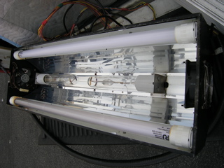 P2060004.jpg